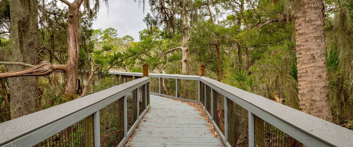 Fort Mose Historic State Park featuring a bridge and forests