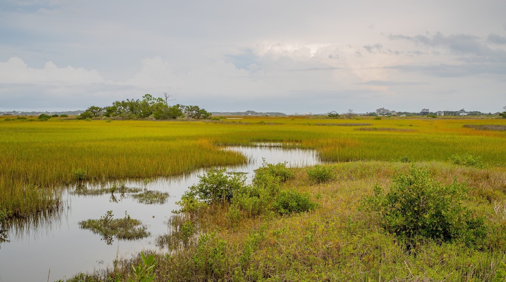 Fort Mose Historic State Park which includes tranquil scenes and wetlands