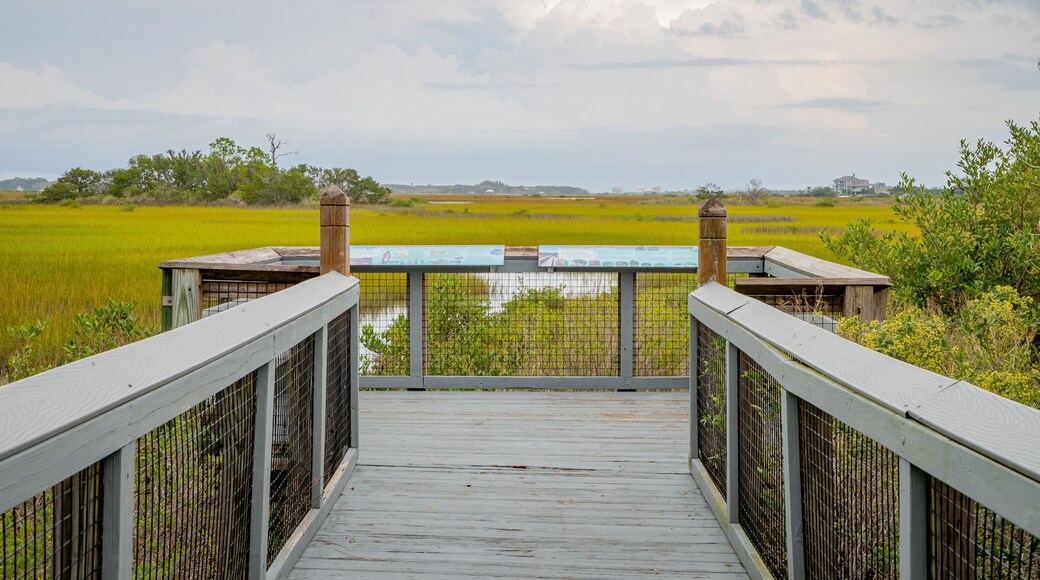 Fort Mose Historic State Park showing tranquil scenes and views