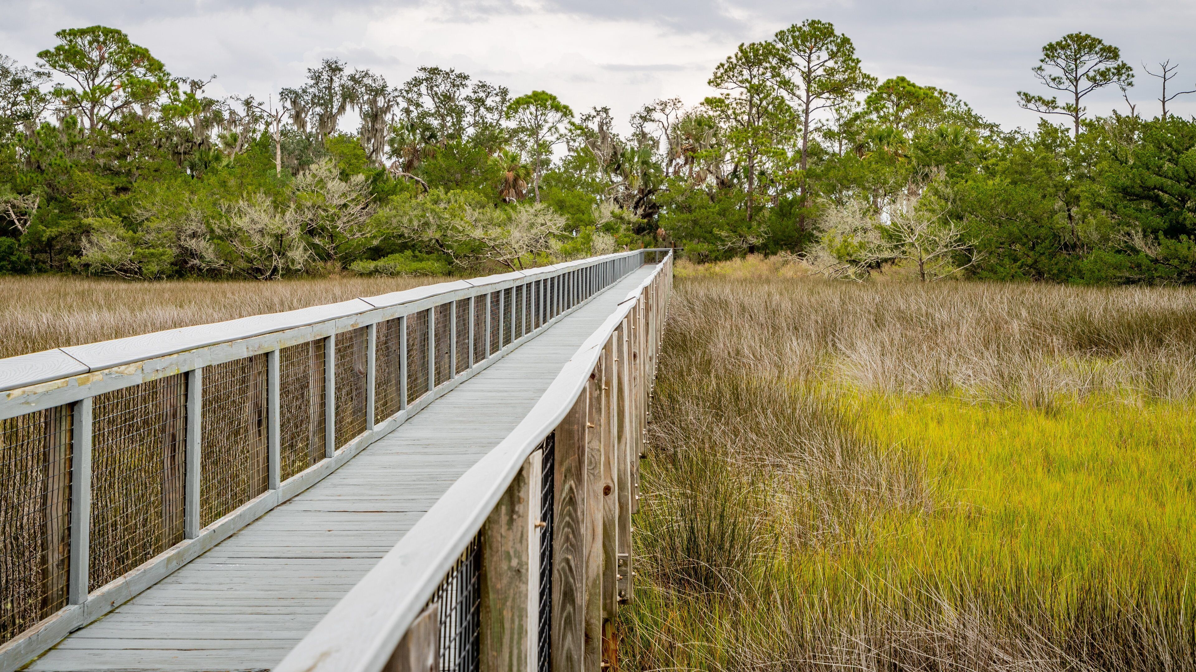 Fort Mose Historic State Park featuring a bridge and tranquil scenes