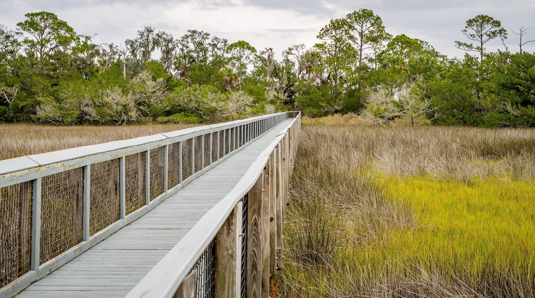Fort Mose Historic State Park featuring a bridge and tranquil scenes