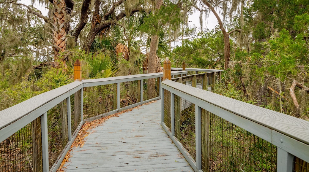 Fort Mose Historic State Park showing a bridge