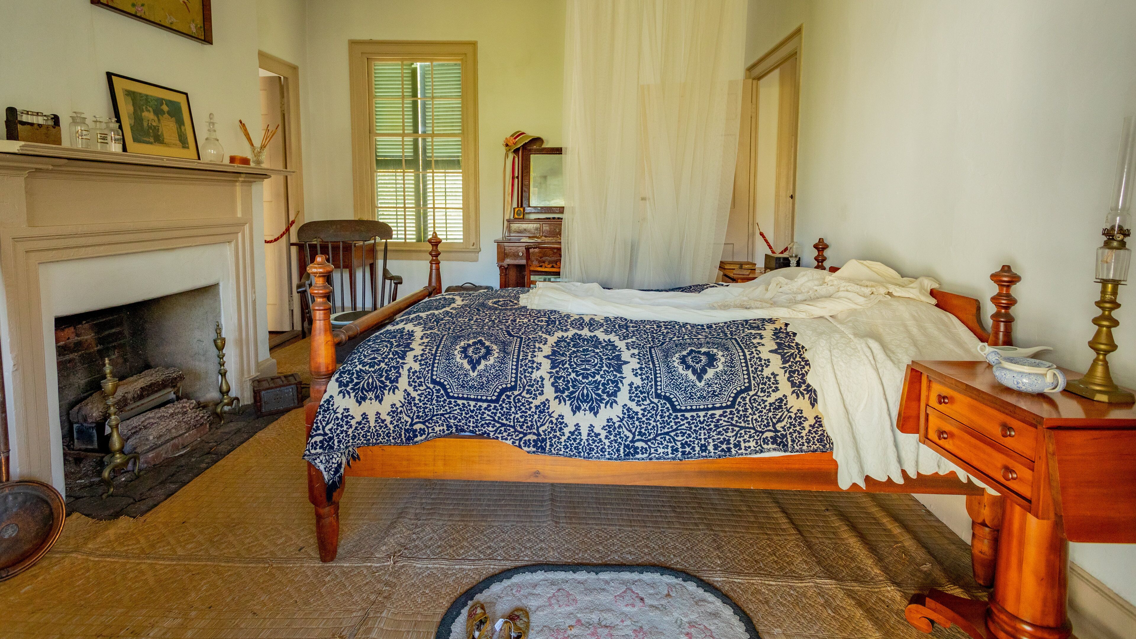 Ximenez-Fatio House Museum which includes interior views and a house