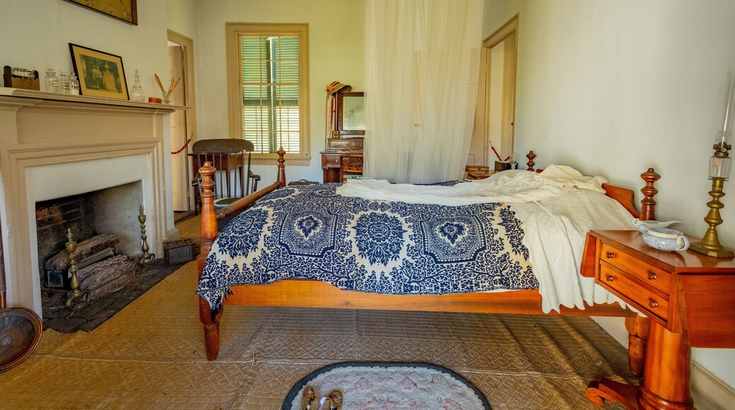 Ximenez-Fatio House Museum which includes interior views and a house