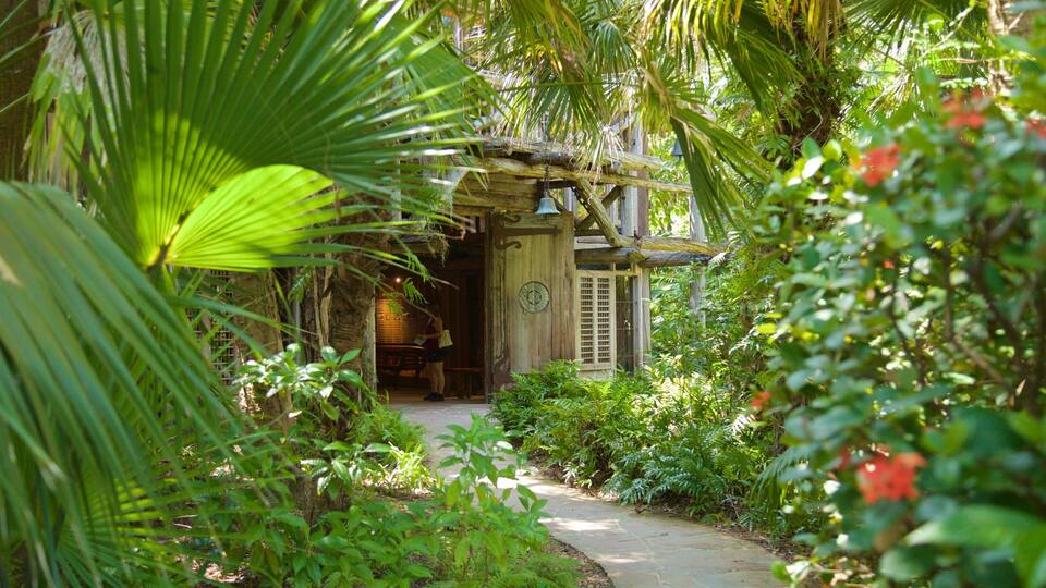 A tropical garden with a wooden house, lush greenery, and a stone pathway.