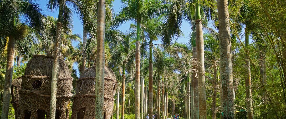 McKee Botanical Garden featuring indigenous culture and a garden