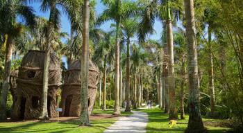 McKee Botanical Garden featuring indigenous culture and a garden