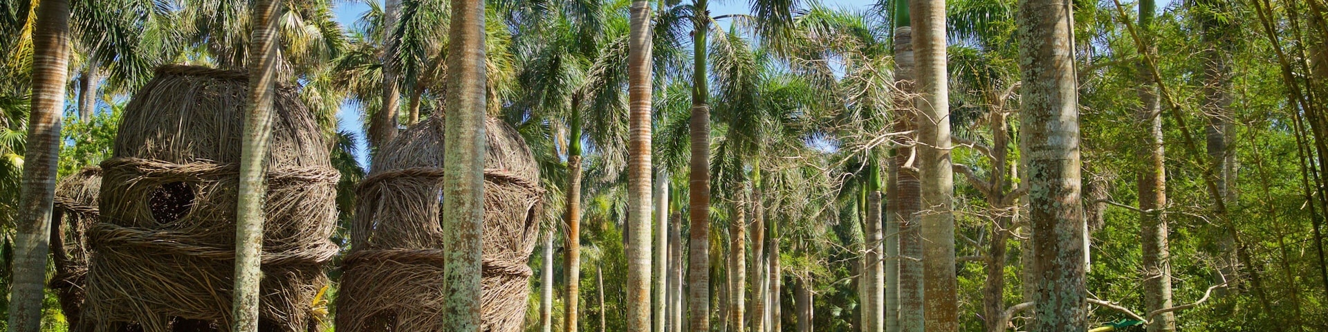 McKee Botanical Garden featuring indigenous culture and a garden