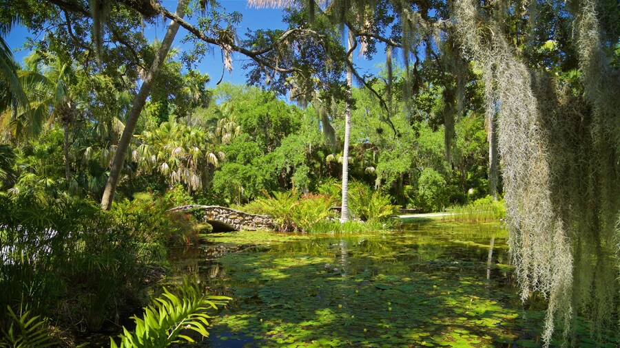 McKee Botanical Garden showing a pond