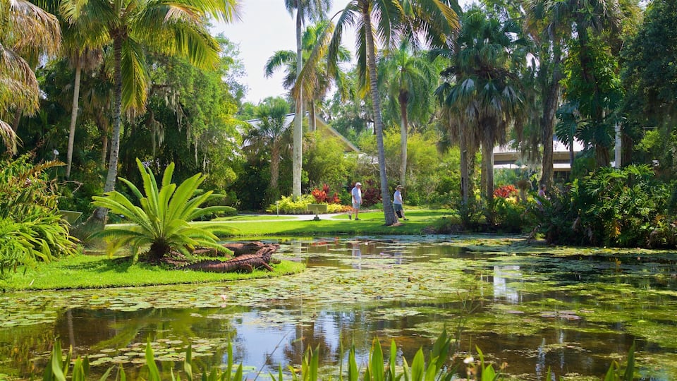 McKee Botanical Garden featuring a pond