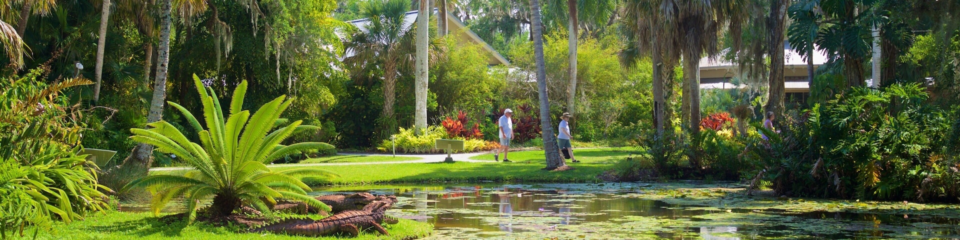 McKee Botanical Garden featuring a pond