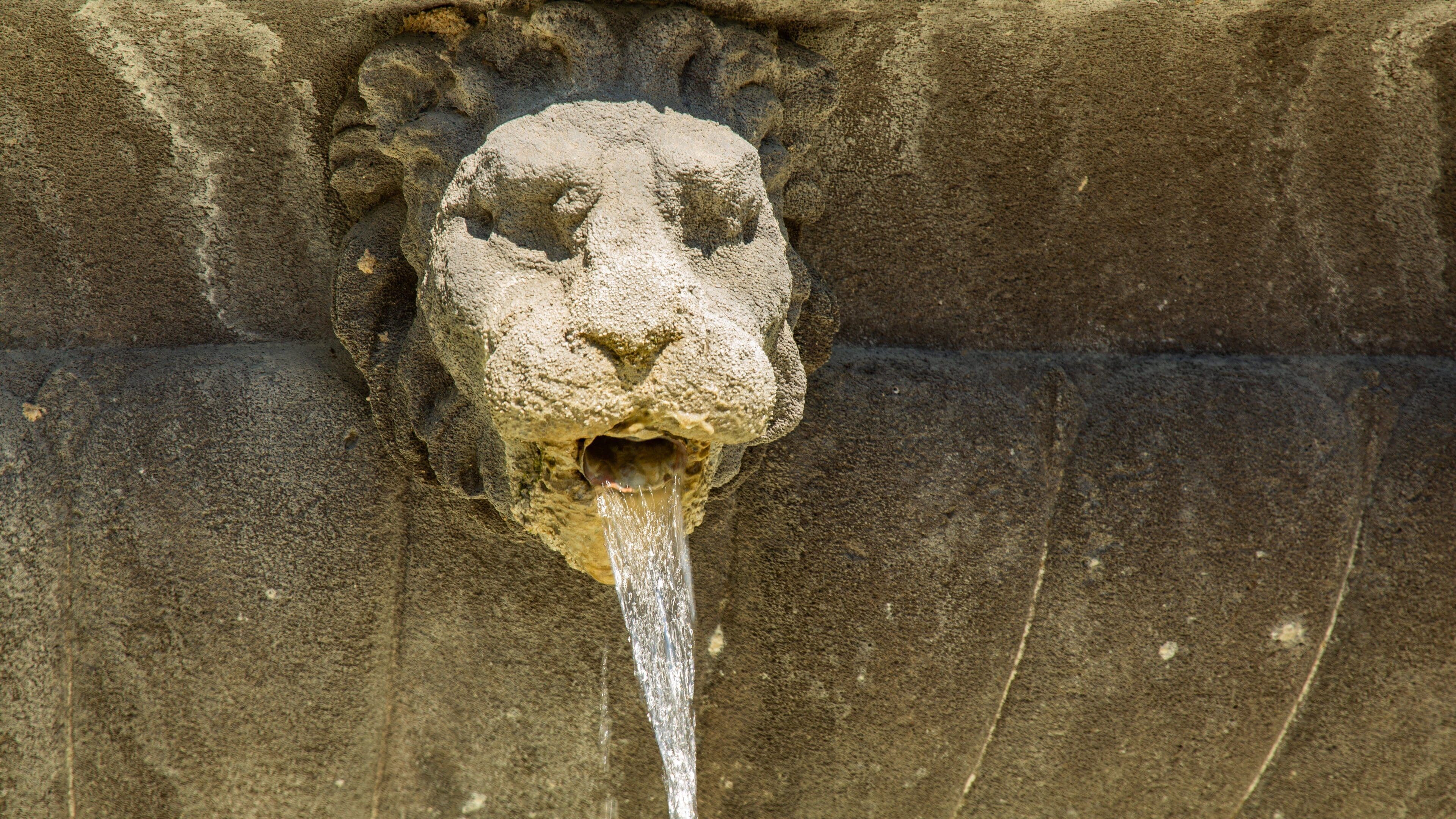 Place des Vosges featuring a fountain and heritage elements