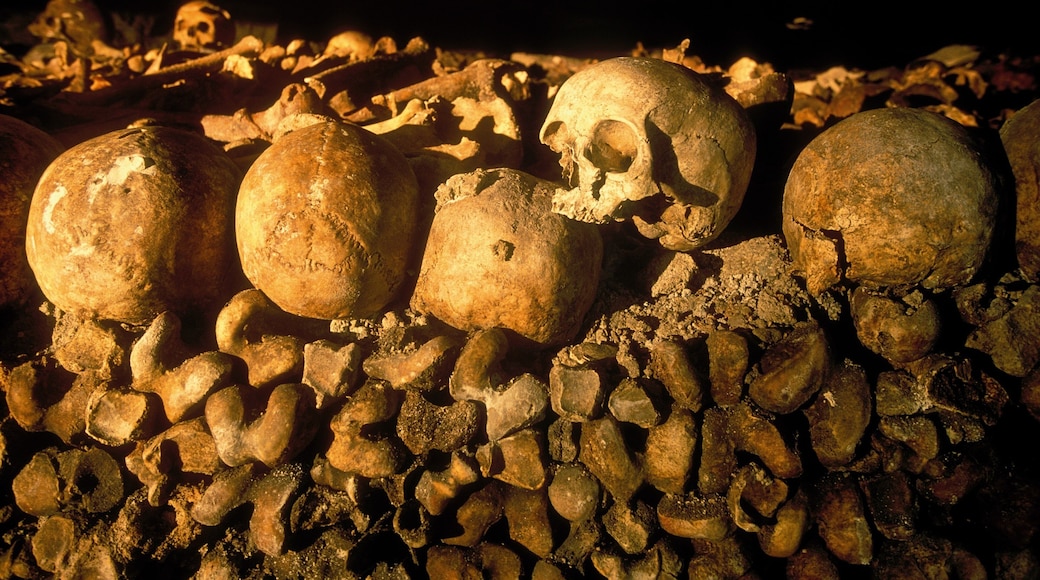 Exploring the haunting beauty of the Paris Catacombs in Île-de-France, France