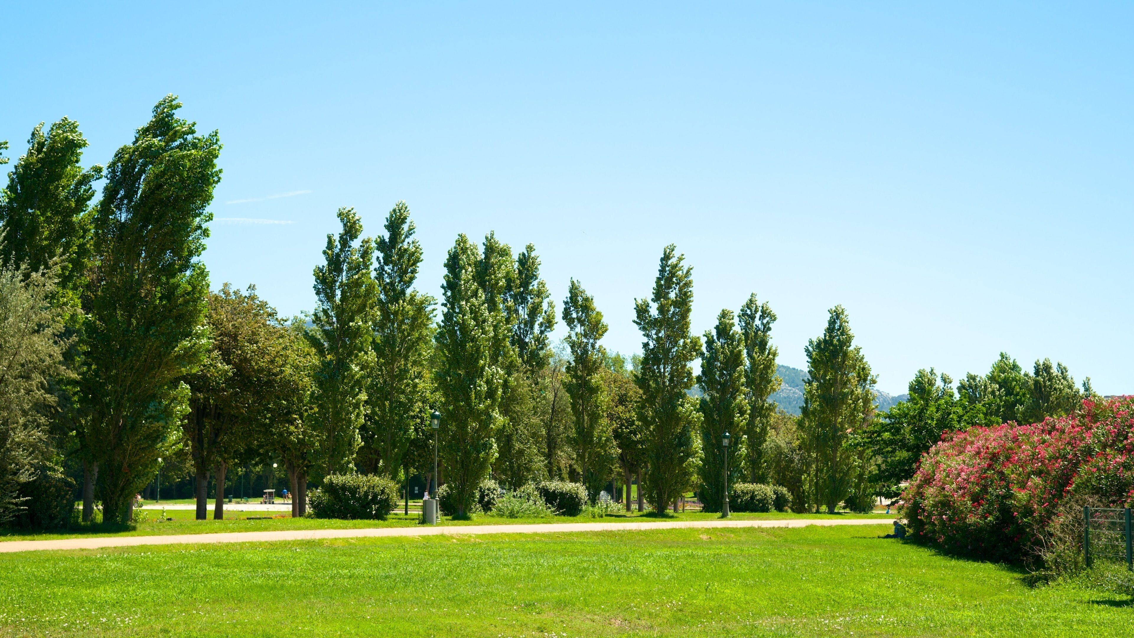 Borely Park showing a park