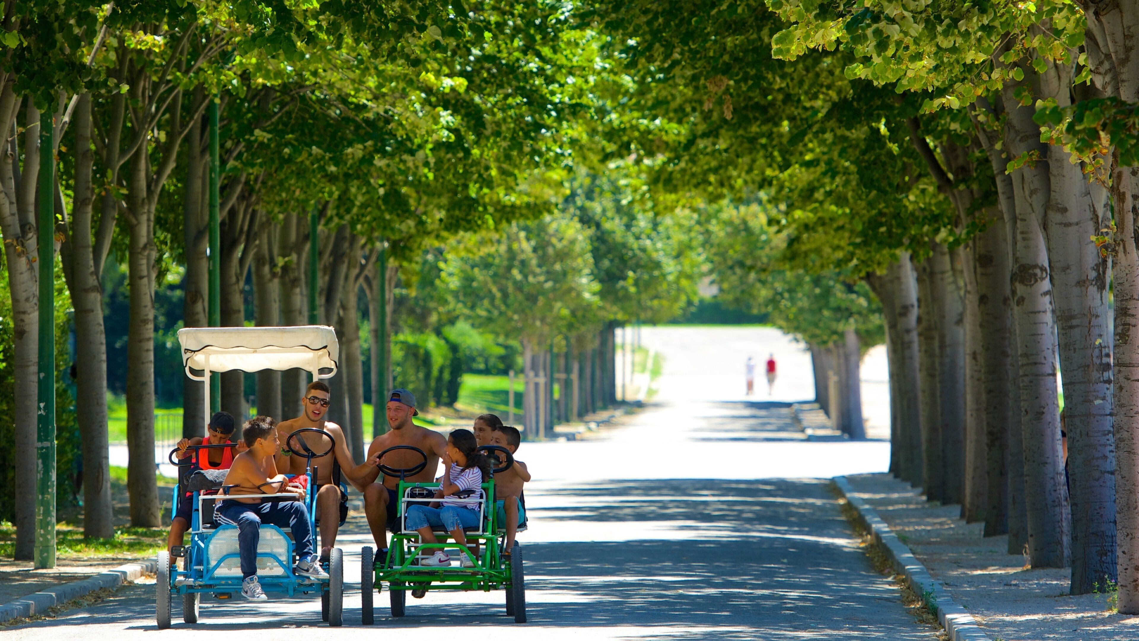 Parc Borely toont fietsen en een park en ook een klein groepje mensen