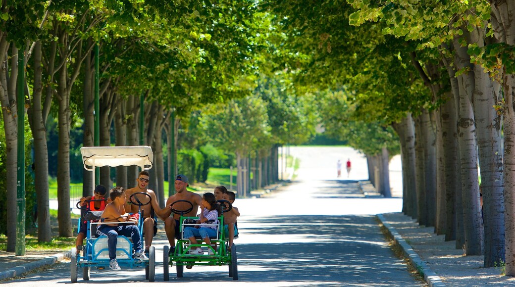 Parc Borely which includes cycling and a garden as well as a small group of people