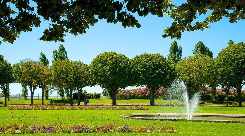 Parc Borely showing a fountain, a park and flowers