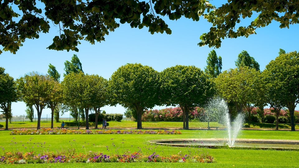 Parc Borély mettant en vedette parc, fontaine et fleurs