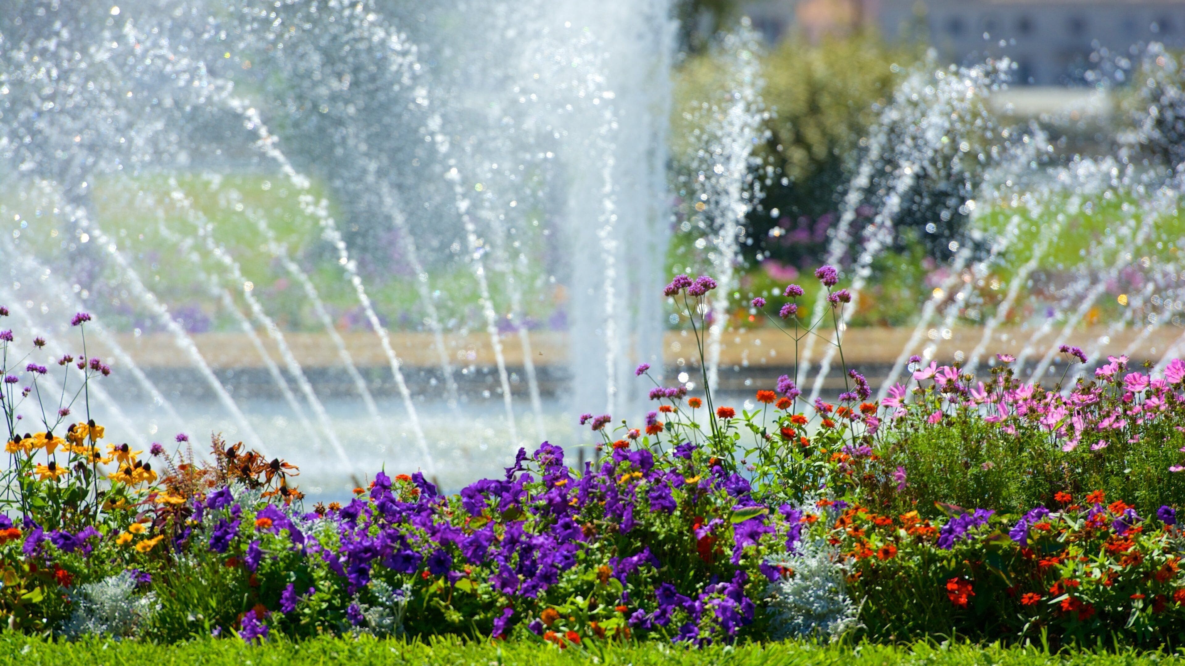 Parc Borely bevat bloemen, een park en een fontein