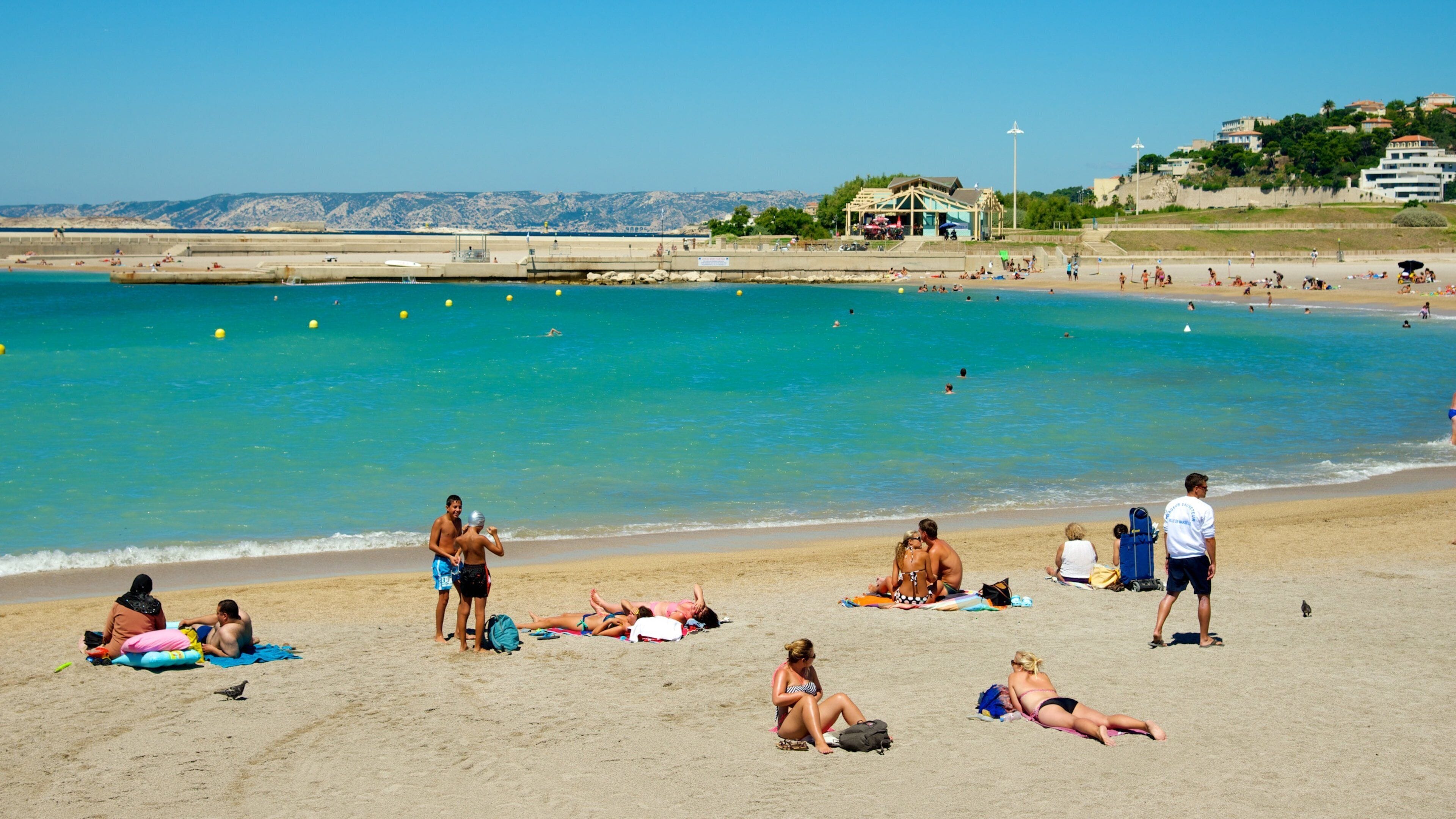 Plage du Prado qui includes vues littorales et plage de sable aussi bien que petit groupe de personnes