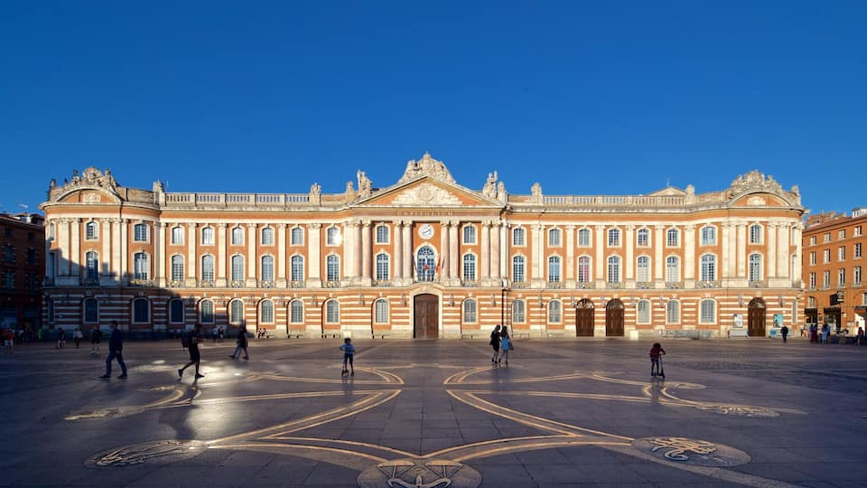 Capitole de Toulouse featuring a square or plaza, heritage architecture and street scenes