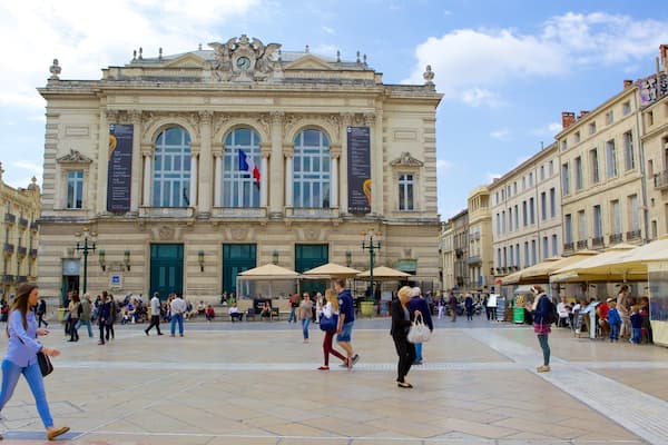 Un opéra historique doté d’une architecture riche et d’une grande entrée centrale.