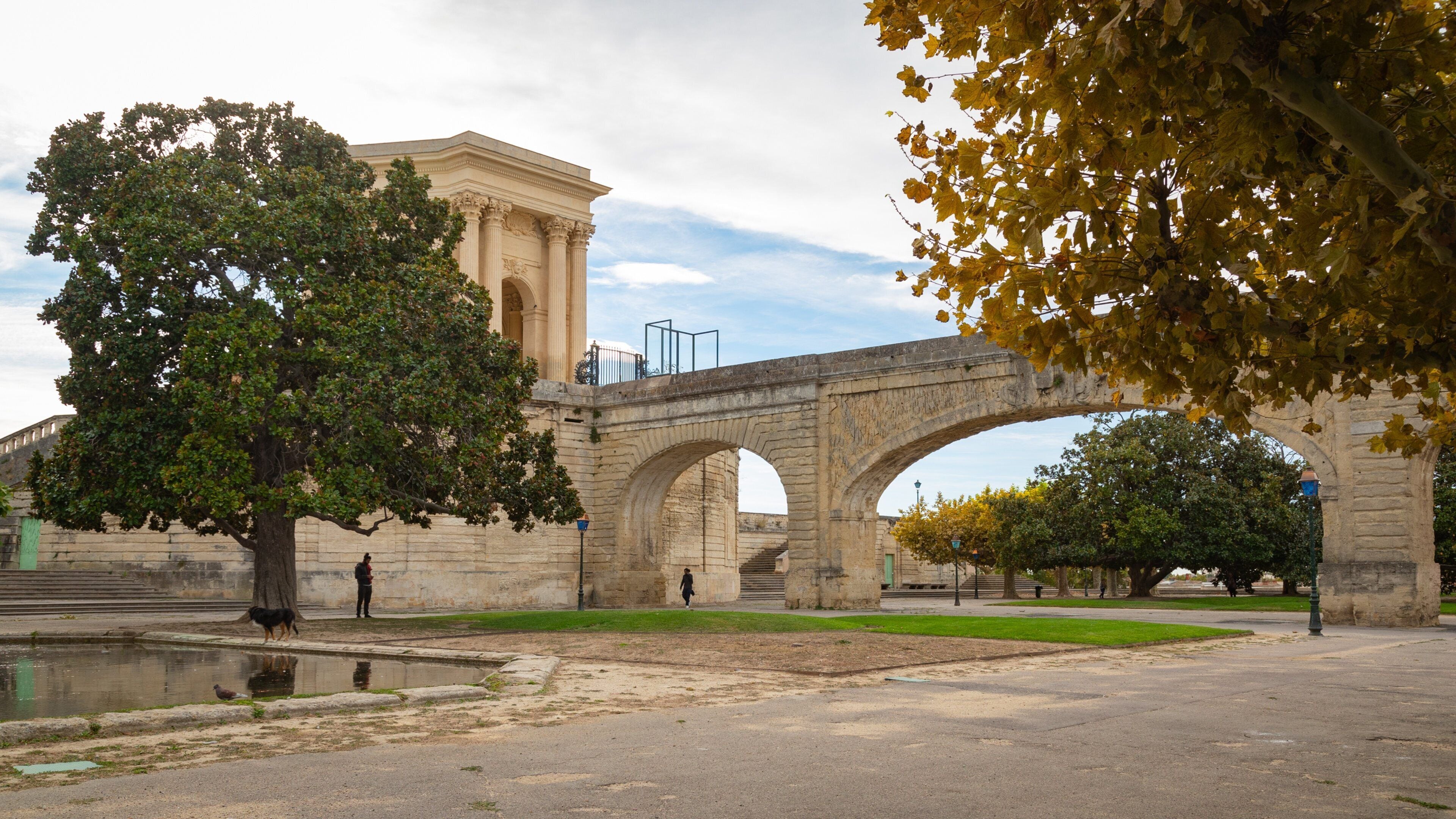 Montpellier Aqueduct showing a bridge and heritage elements