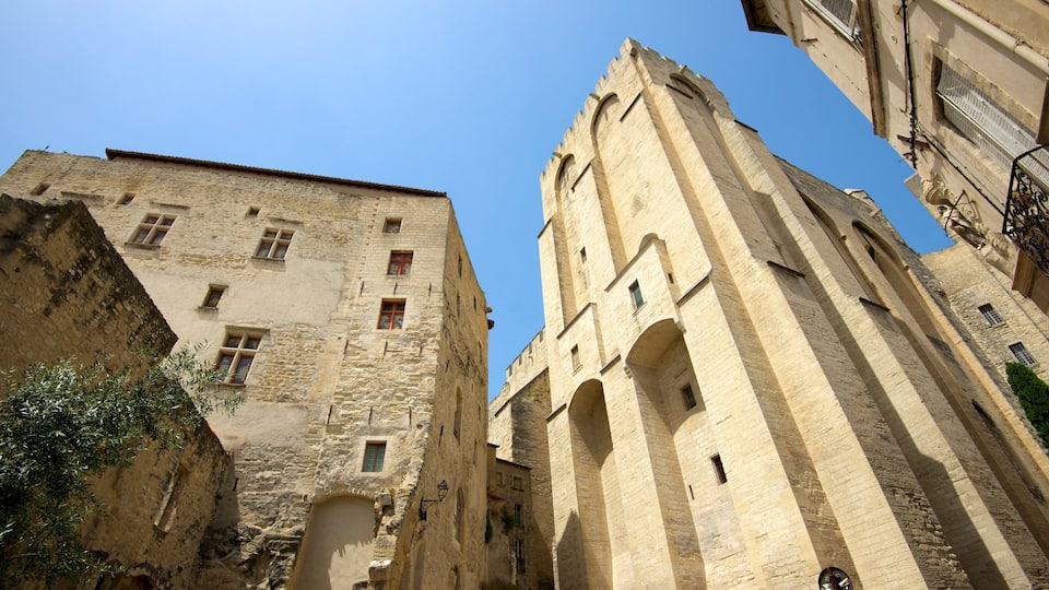 Palais des Papes featuring heritage elements and heritage architecture