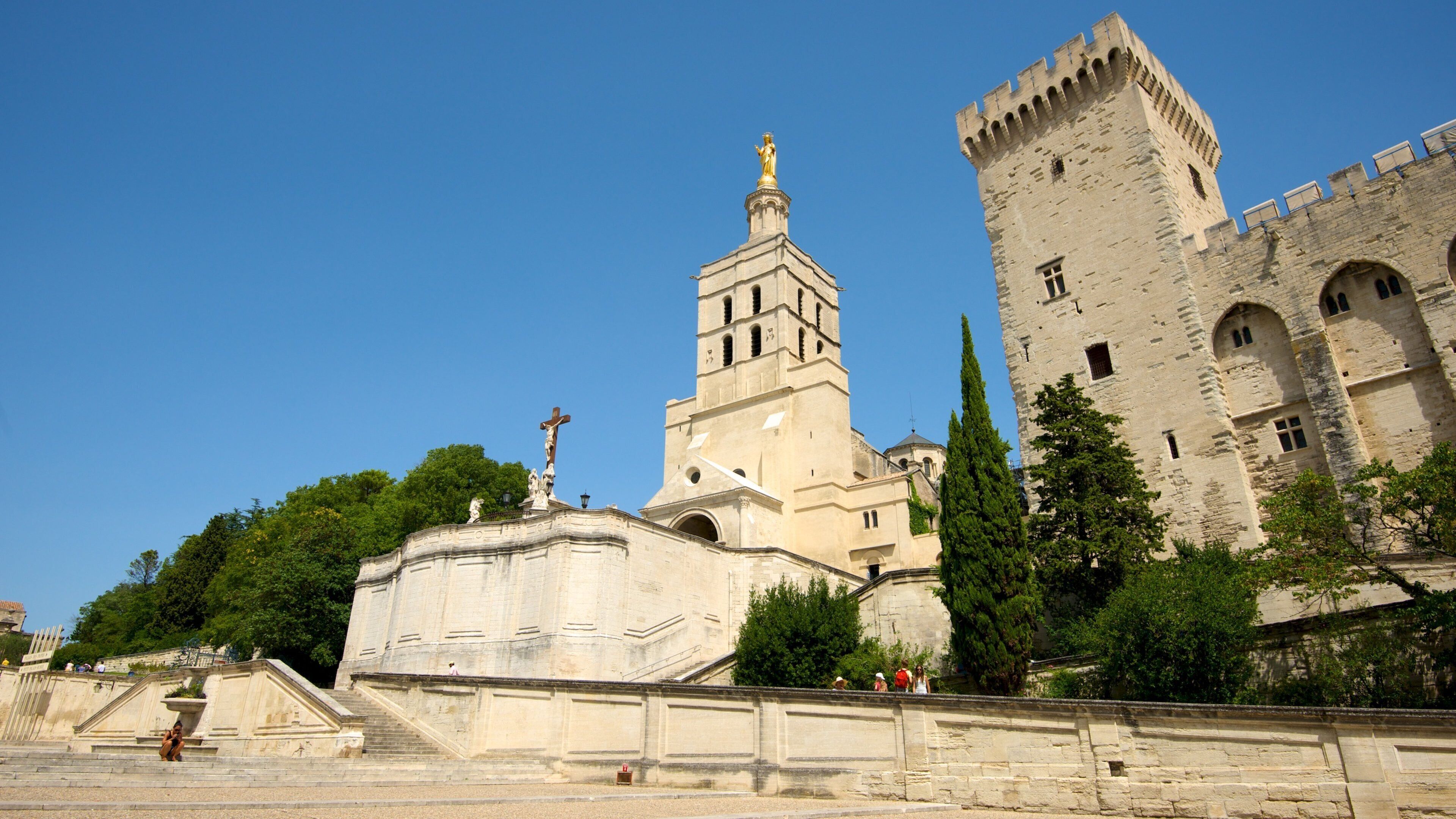 Avignon Cathedral showing heritage architecture, a church or cathedral and religious elements