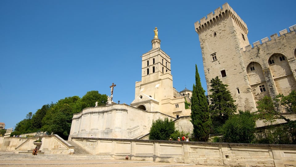Avignon Cathedral showing heritage architecture, a church or cathedral and religious elements