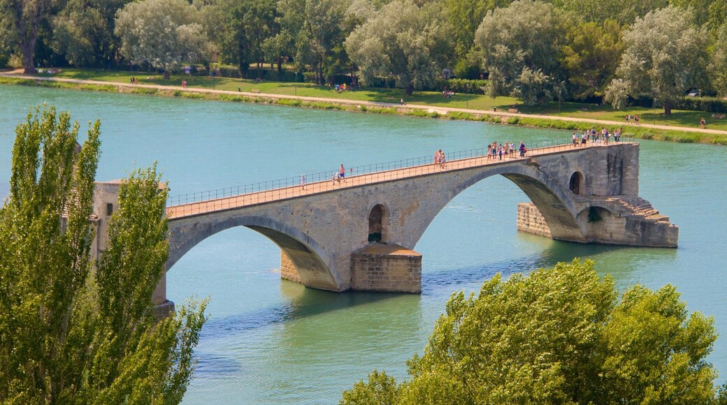Pont Saint-Bénezet qui includes pont, patrimoine historique et riviÚre ou ruisseau
