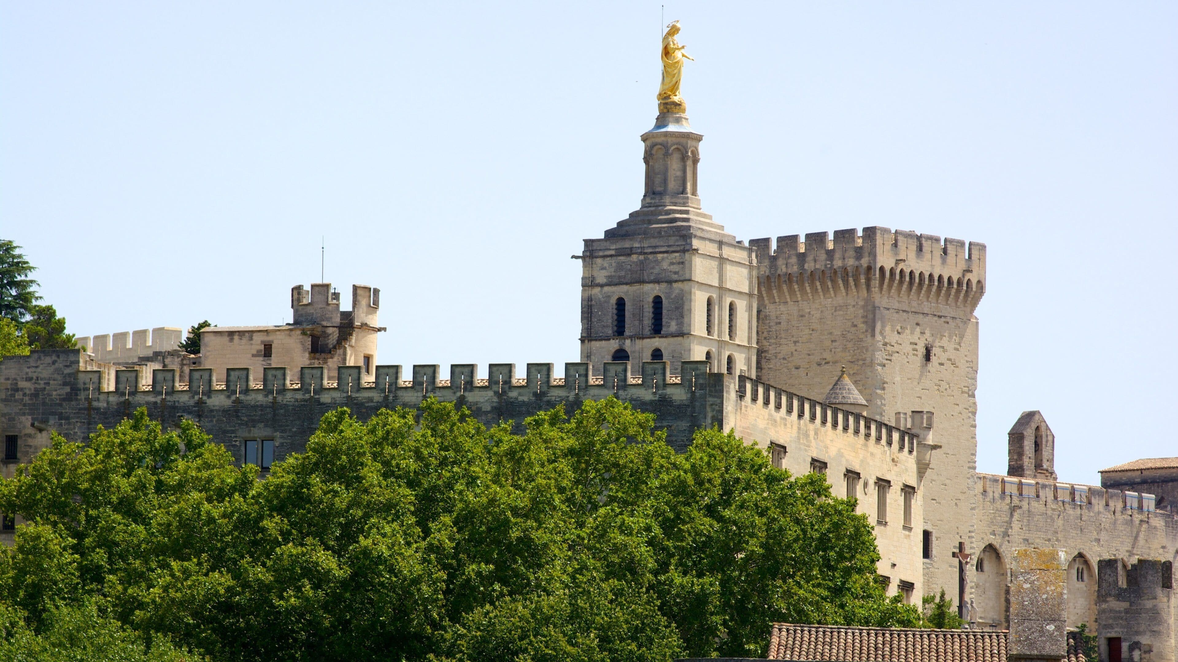 Pont Saint-Bénezet montrant patrimoine architectural, château ou palais et patrimoine historique