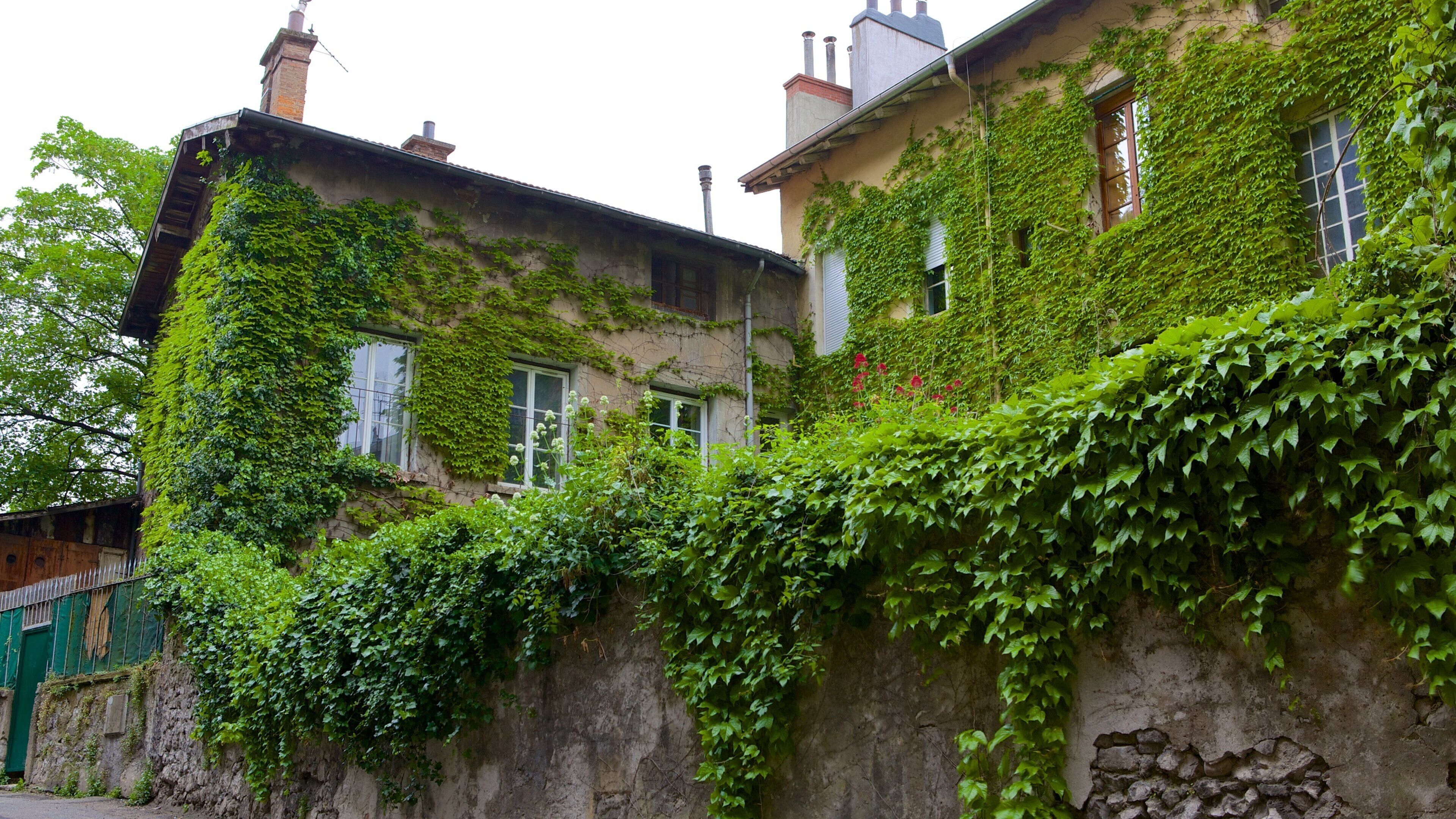 Bảo tàng Dauphinois có tính năng cảnh đường phố và căn nhà