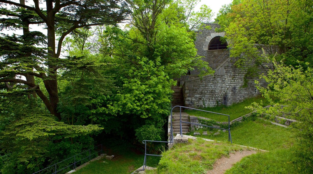巴士底碉堡 设有 遺跡建築