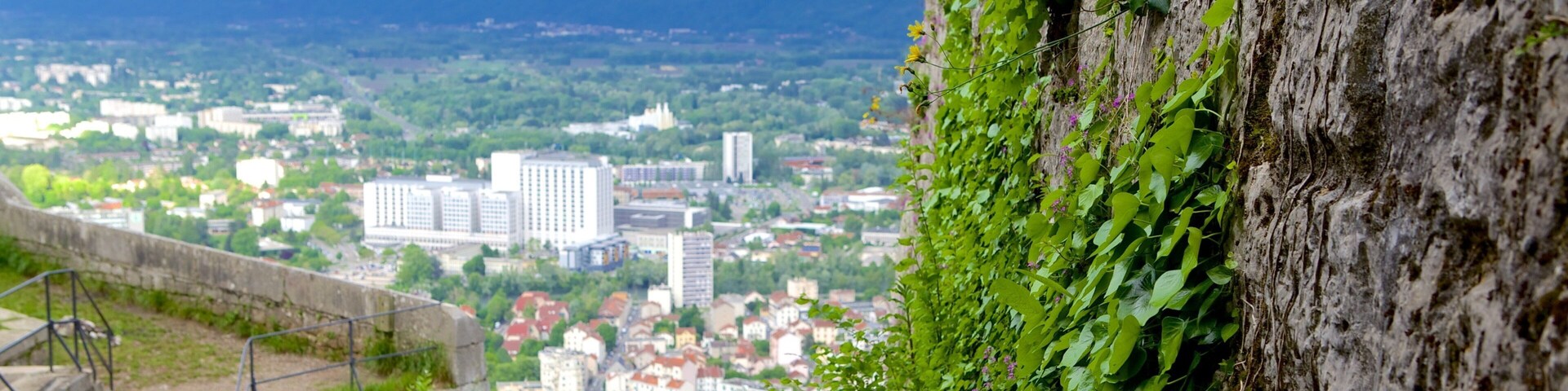 Fort de la Bastille showing a city