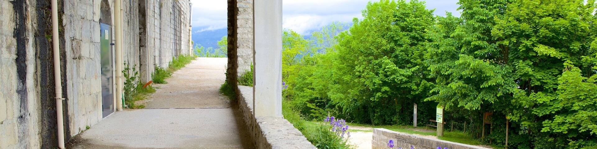 Un sendero de piedra que atraviesa una estructura arqueada, rodeado de abundante follaje y flores púrpuras.