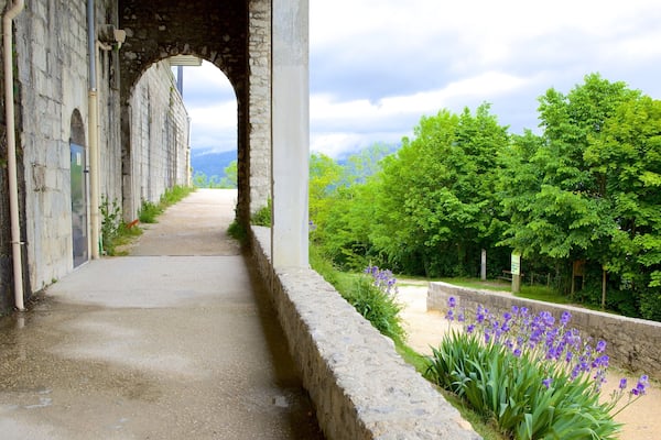 Fort de la Bastille qui includes fleurs et patrimoine architectural