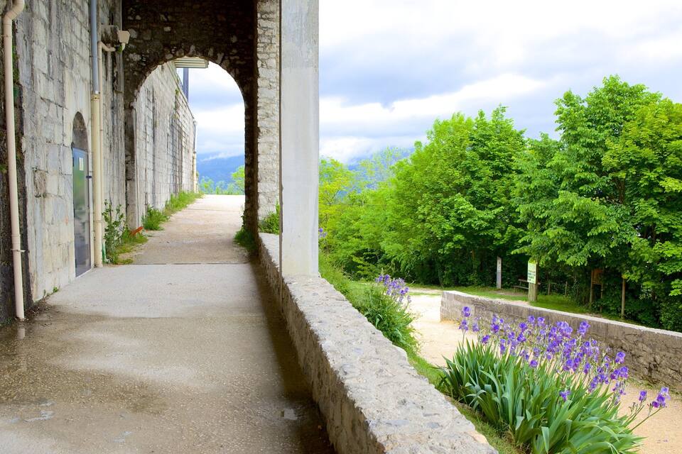 A stone pathway leading through an arched structure, surrounded by lush greenery and purple flowers.