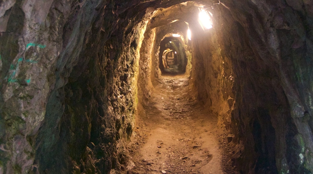 Fort de la Bastille showing caves