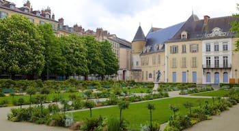 Jardin de Ville showing a garden