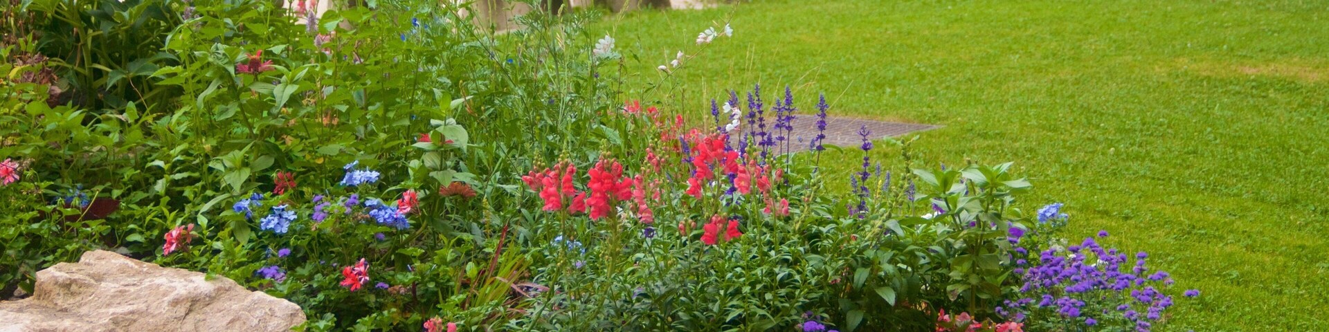 Grenoble which includes flowers and a garden