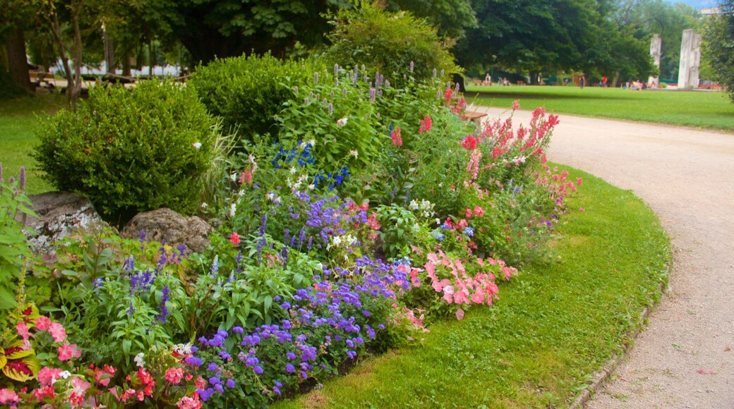 Grenoble featuring flowers and a park