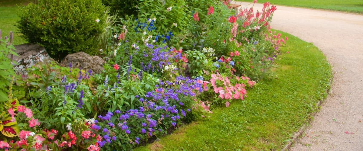 Grenoble qui includes parc et fleurs