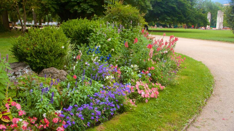Grenoble featuring a garden and flowers