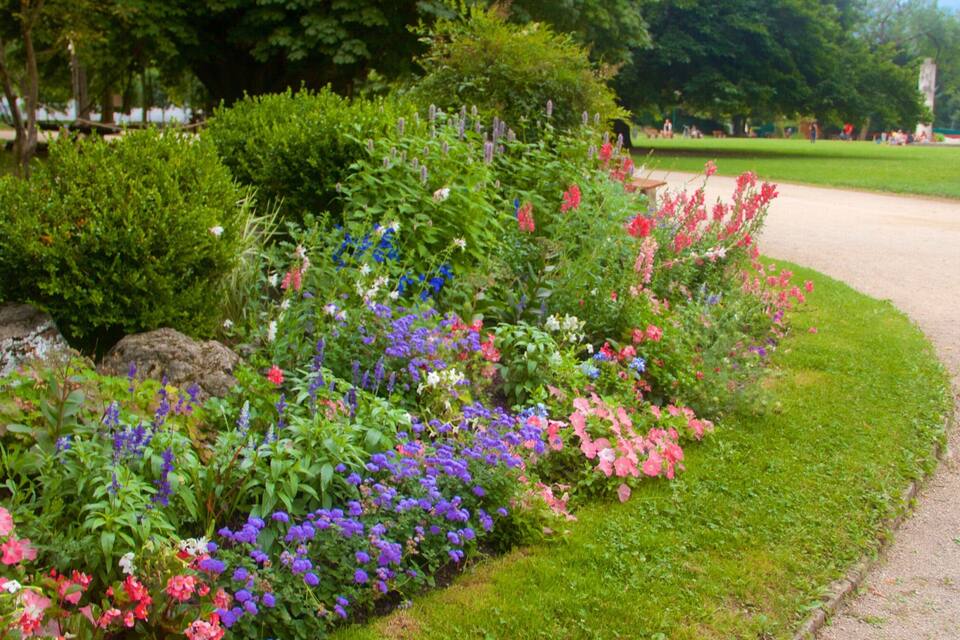 A garden with a variety of colorful flowers and neatly trimmed bushes.
