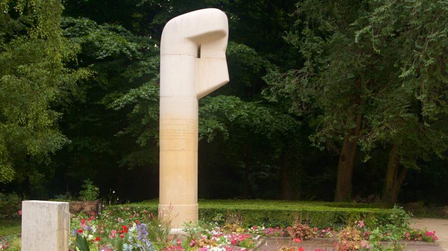 Grenoble which includes a garden and flowers