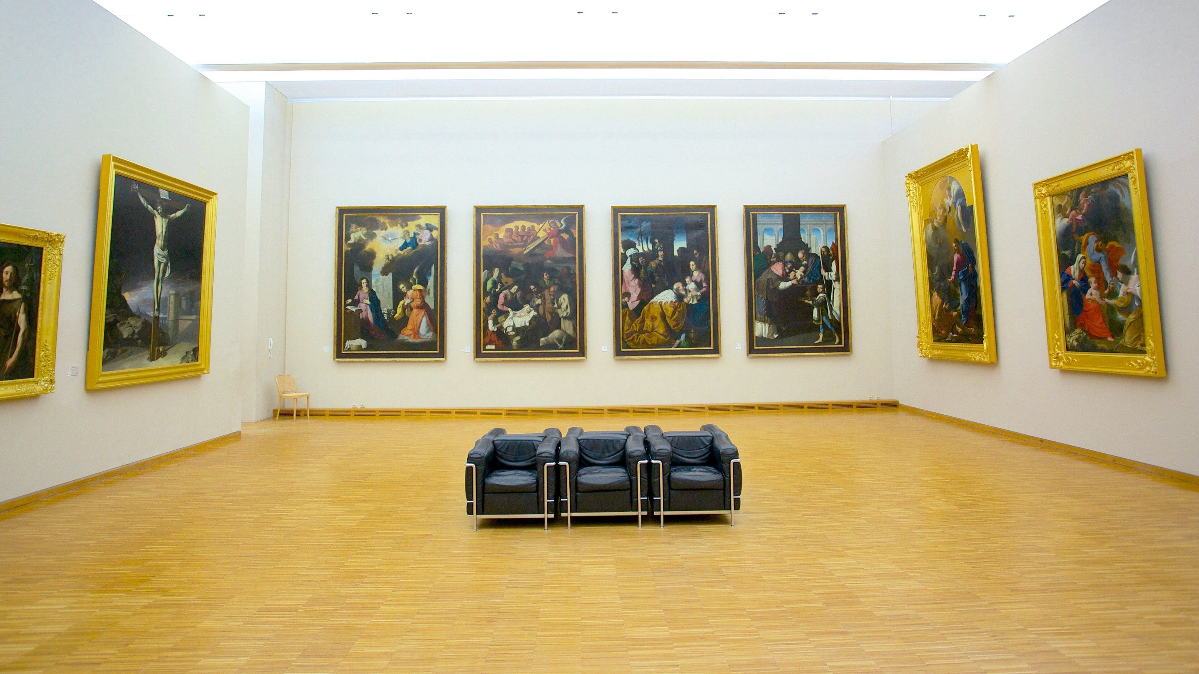 Museum of Grenoble featuring interior views and art