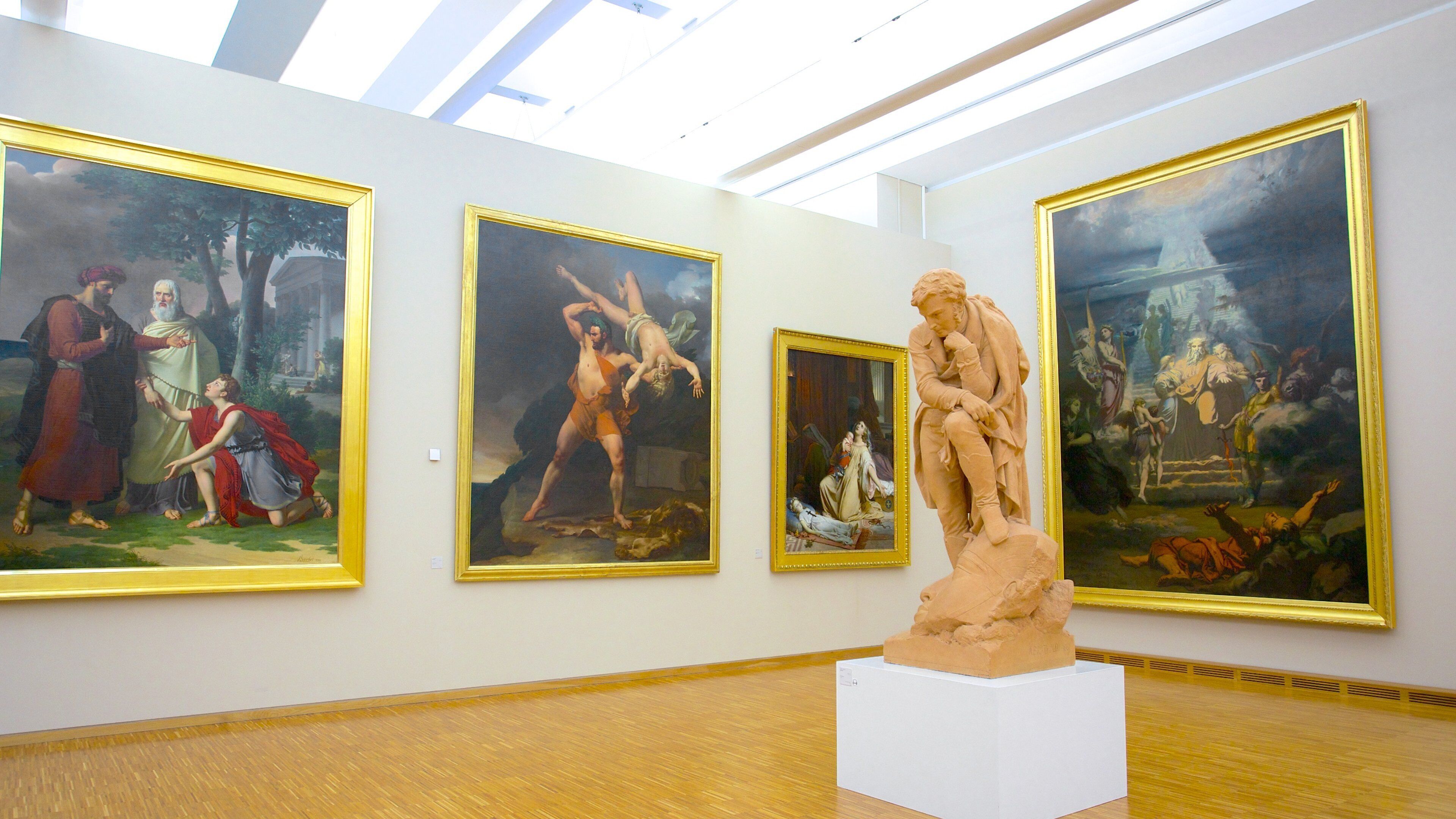 Museum of Grenoble featuring art