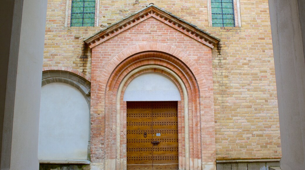 Cathedral Notre-Dame of Grenoble showing heritage architecture