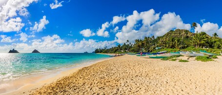 A beach with clear turquoise water, a sandy shore, and several boats lined up on the right.